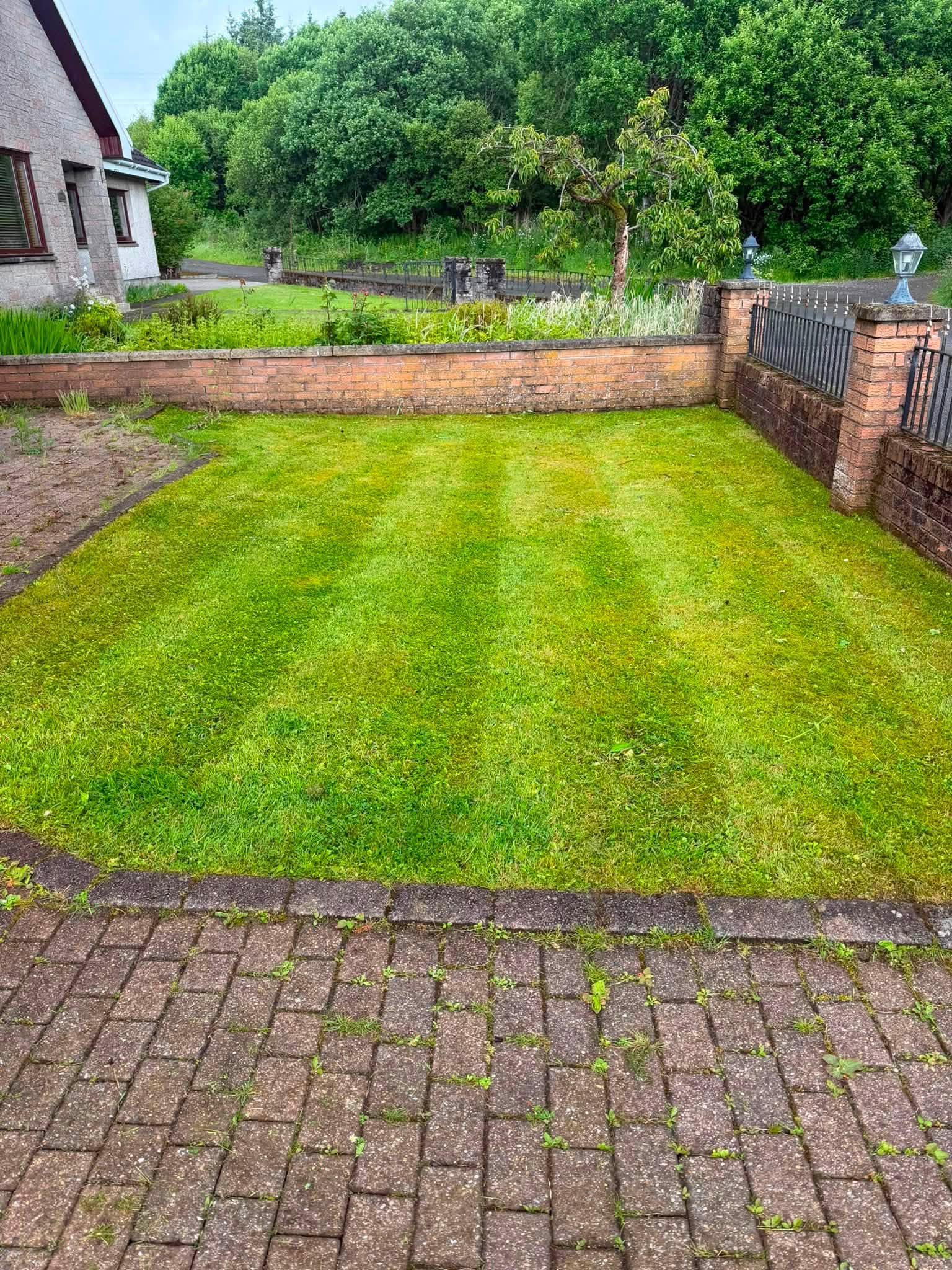 Freshly cut lawn after maintenance